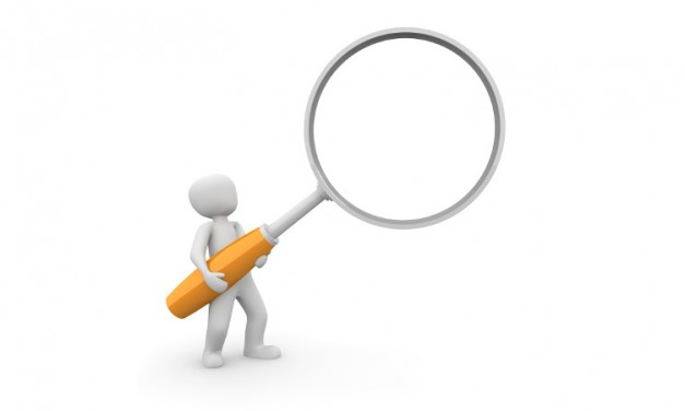 Make the Secondary Header Search Box Bigger
